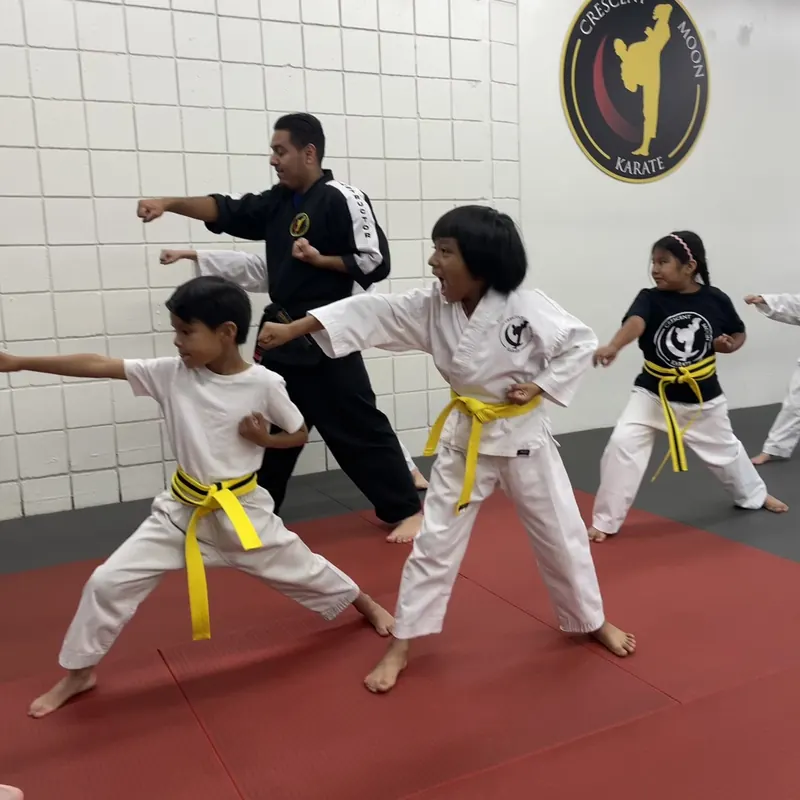 Students train together in a structured group class